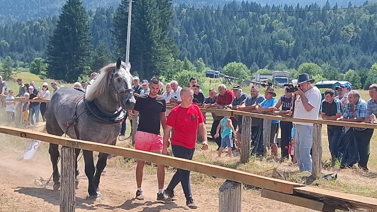 Leo Bijelog Huremovića pokosio konkurenciju u samcima teške kategorije - Drinić