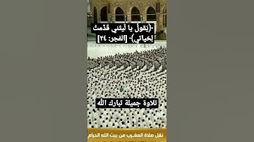 تلاوة جميلة تبارك الله من #ماهر_المعيقلي #قرآن #الحرمين_الشريفين #الحرم #سورة #الحرم_المكي