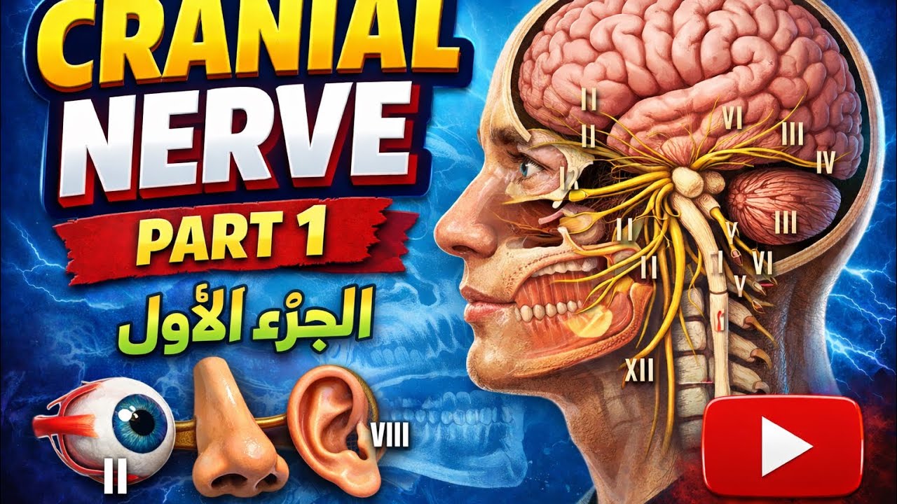 شرح فسلجة عملي cranial nerve examination part 1