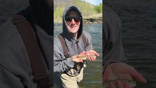 Fishing the middle Provo river with my friend Dave #flyfish #flyfishutah #middleprovo #letsfish