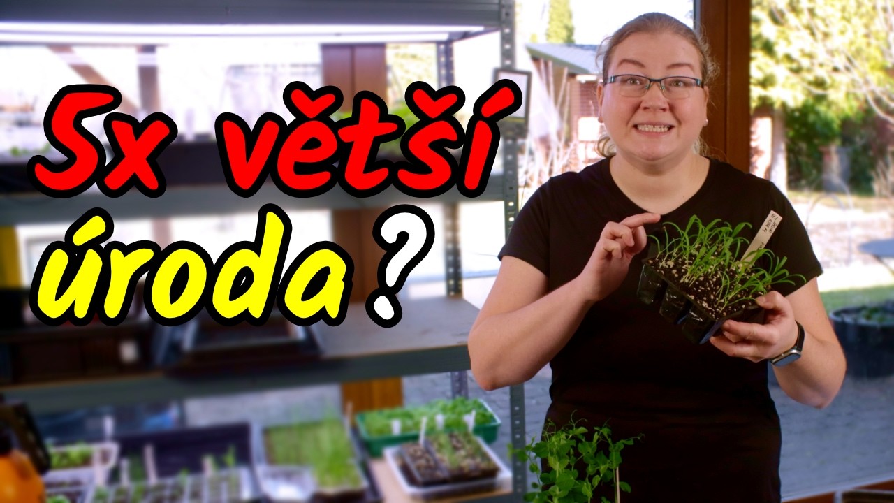 👩‍🌾Zapomenutý systém na 5x větší úrodu zeleniny ze stejného místa