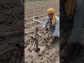 Kisano Ka Bicycle Jugad 🔥 | Khet Mein Cycle Se Hal Chalaya