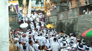 Download Lagu tradisi melasti desa pedahan tianyar tengah#karangasembali#part2 MP3