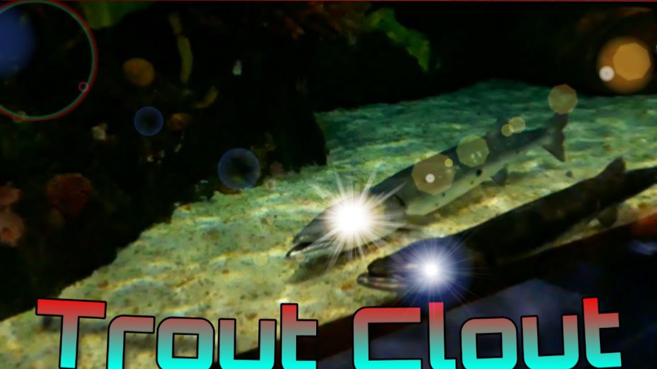 Trout Clout YouTube
