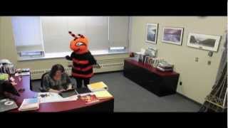 Stamford Collegiate Harlem Shake - [OFFICIAL]