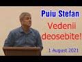 Puiu Stefan: Vedenii deosebite! - 1 August 2021