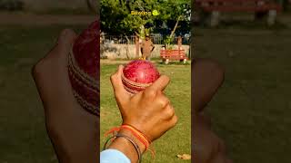 Spin Bowling tips 🏏 #cricket #bowling #shorts fast bowling #shortsfeed #sports #video