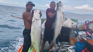 UM ESPETÁCULO DE ADRENALINA   COM PEIXES GRANDE E BRUTO NESSA PESCARIA 😱