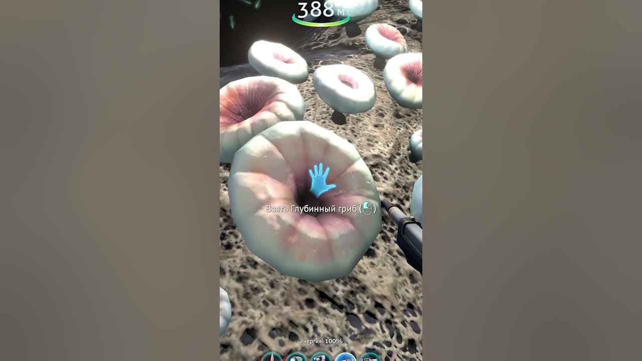 кровавый риф субнаутика. Subnautica база дегази в пещере медузных грибов. глубинный гриб. сабнатика пещера медузных грибов. глубинный гриб.