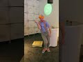Blippi has a Sound Machine Dance Party