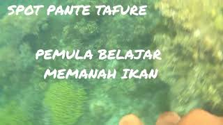 Musik Maluku Utara Wayase Remix Tidore