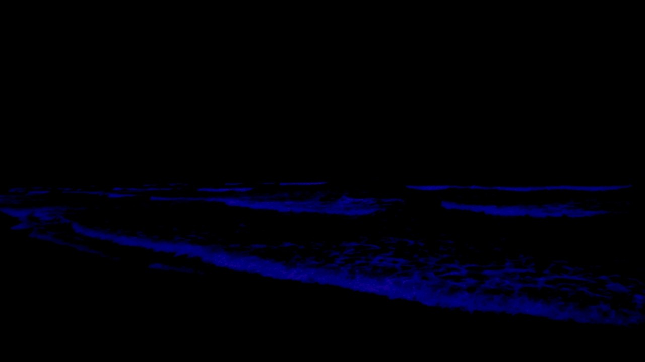 (No Ads) Deep Relaxtion Music For Adhd • Inner Healing & Deep Sleep • Restore Your Body And Mind