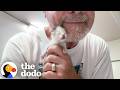 Teeny Tiny Kitten's Safe Place Is His Rescuer's Hands | The Dodo