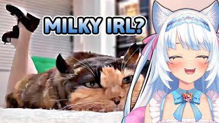 Milky Mew reacts to UNUSUAL MEMES COMPILATION V260