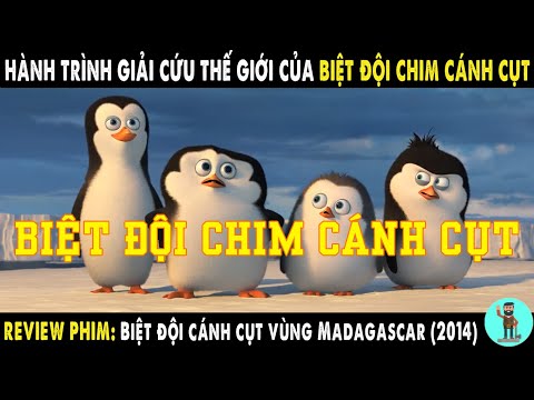 Video: Pinguinos tập trung mùa đông 2012 đang gặp nguy hiểm vì thiếu ngân sách