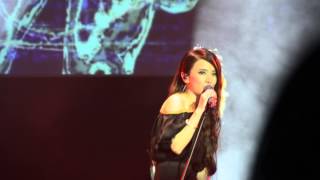 不醉不会 -- 田馥甄 Hebe Tien and 林宥嘉 Yoga Lin 墨尔本演唱会 Melbourne Concert 02052014