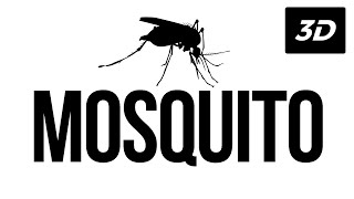 Mosquito 3D Sound (use your headphones) | Sound Effect (Copyright Free)