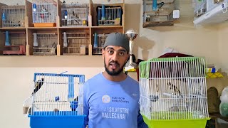 زيارة عند حمزة 🔥 ورانا طيور لعندو🐦توليعة بطائر الحسون من الدار البيضاء2026/3/26🇲🇦 #الحسون