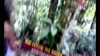 One Day At Lambir.mp4