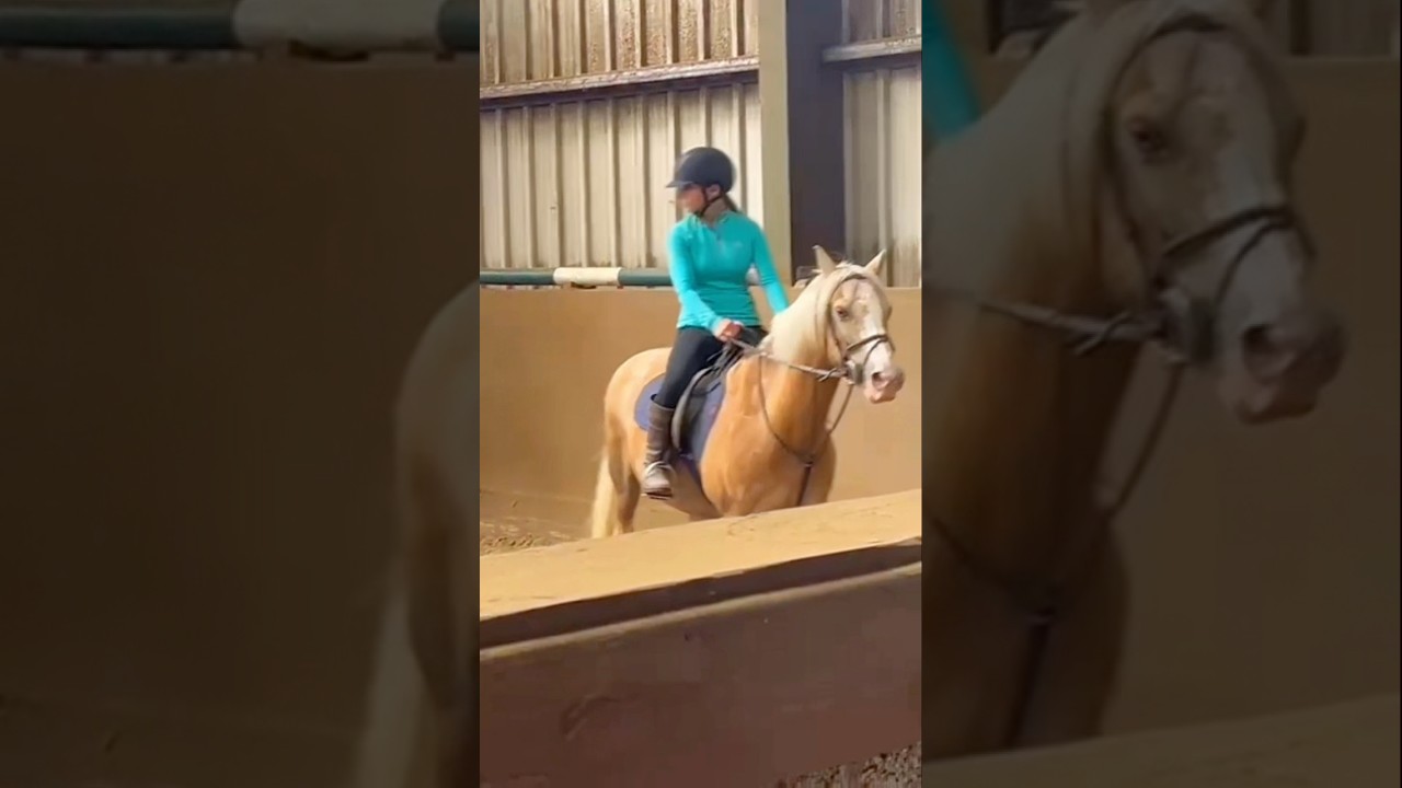 And I cried at the curb! 