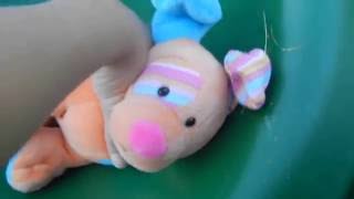Random webkinz things! Ep. 1-Doing stuff outside!!!