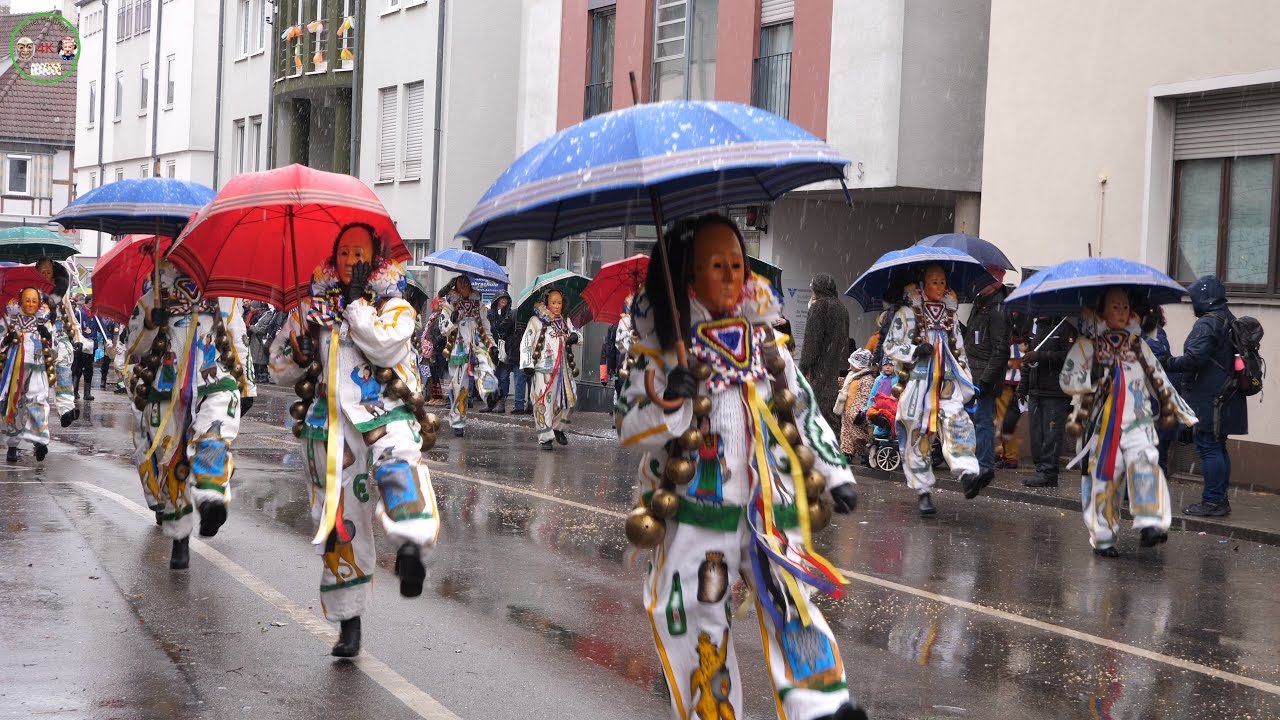 Fasnet, Narrentreffen in Sigmaringen Teil1