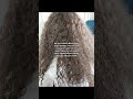 The Honest Truth about Curls 🌀💸 #usa #usacontent #sponsored #ads #BellissimaDiffonSupreme