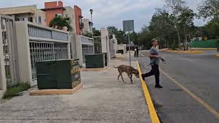 Мама, Очень Скучаю....как Это Пережить?