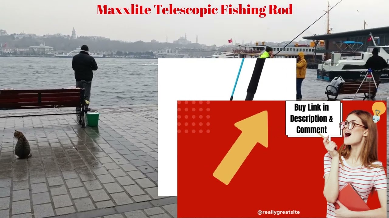 best telescopic fishing rod 2024 /