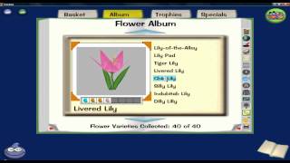 Toontown- all the flower combinations