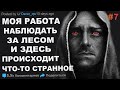 Я ПОЖАРНЫЙ, НАБЛЮДАТЕЛЬ ЛЕСА И ЗДЕСЬ ПРОИСХОДИТ ЧТО-ТО СТРАННОЕ. финал