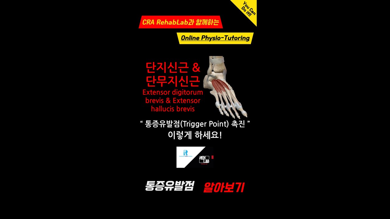 단지신근 & 단무지신근 통증유발점 촉진하기 