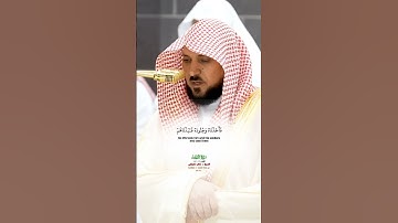 وفي موسى إذ أرسلناه إلى فرعون_ سورة الذاريات_صلاة العشاء 25 ذو القعدة 1446هـ_ الشيخ د. ماهر المعيقلي