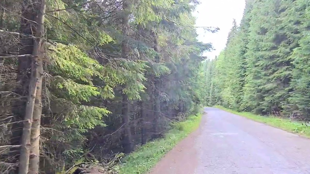 Traseu spre Mina de Sulf din Parcul Național Călimani Suceava România