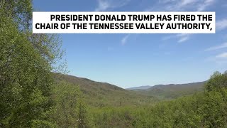 Trump fires TVA chair citing high pay, hiring of foreign workers