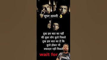 कुत्ते वफादार ना निकले🐶 Podcast Shayari #shayari​ #2linespoetry​ #urdupoetry​