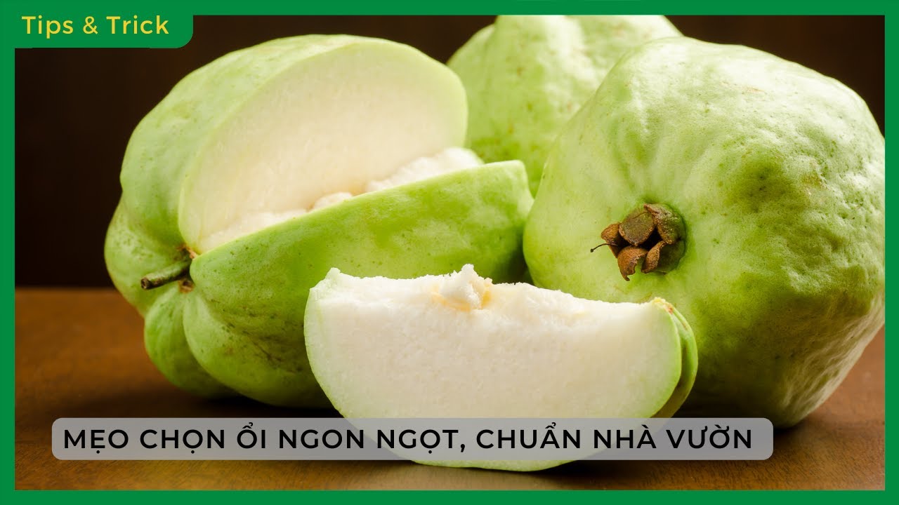 Mẹo CHỌN ỔI GIÒN NGỌT, KHÔNG CHÁT, chuẩn nhà vườn - Bách hoá XANH