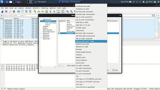 Customizing Wireshark Display
