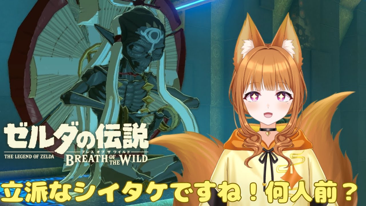 【ゼルダの伝説 ブレス オブ ザ ワイルド】今夜は鍋料理かな【
