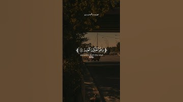 من سورة الزخرف || اكتب شيئا تؤجر عليه.