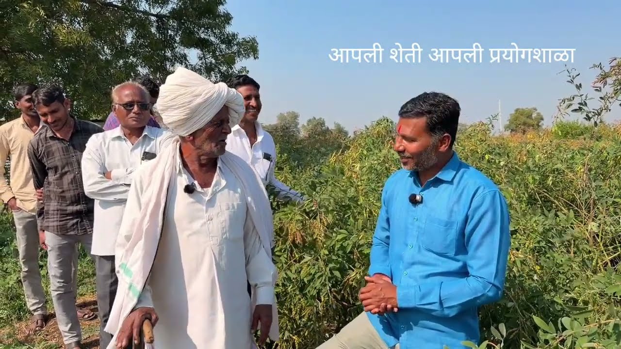SRT तुर शेती बघा बाबा च्या शेती विषयी भावना 