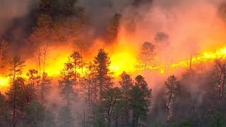 Crews battle massive 2,500-acre wildfire in Ocean County, New Jersey
