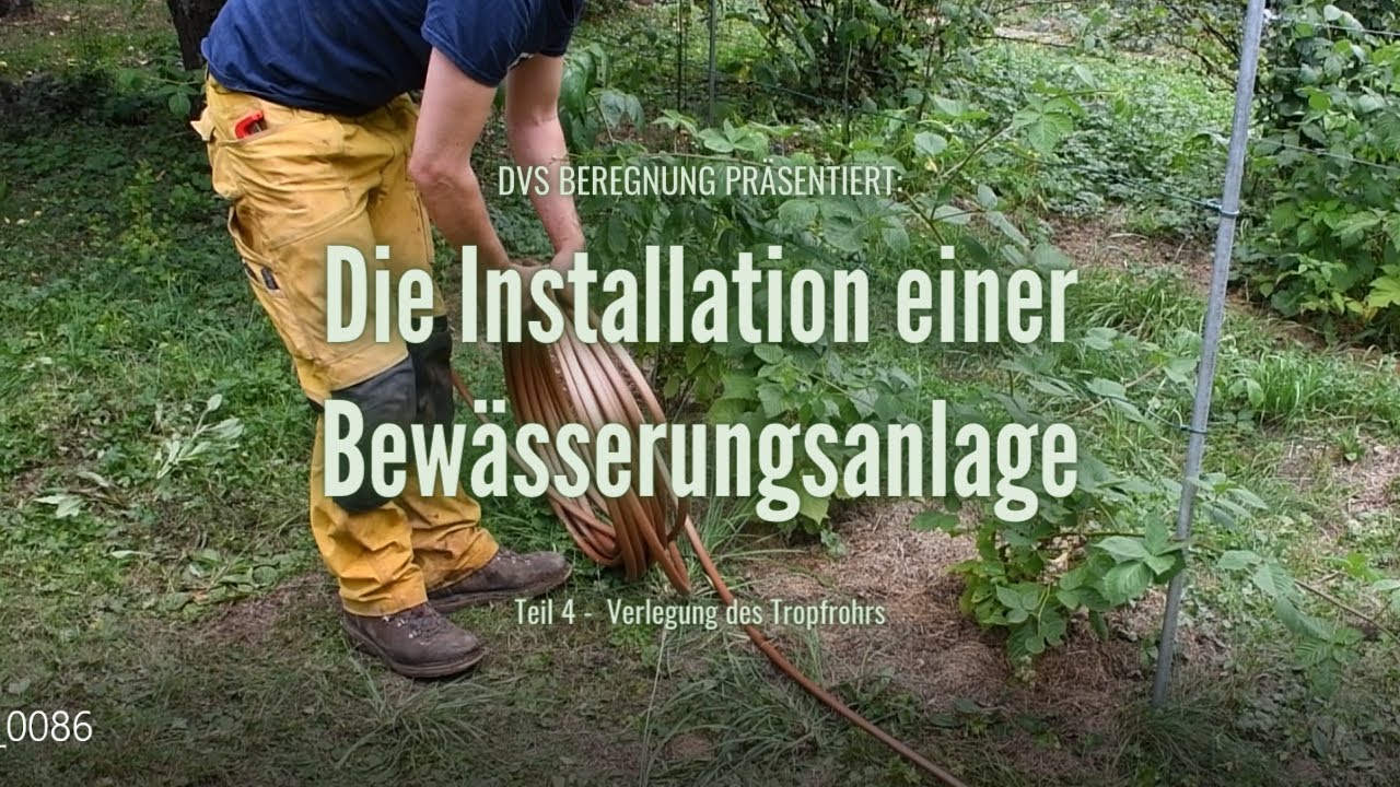 DVS Beregnung: Installation einer Bewässerungsanlage Teil 4 -  Das  Verlegen von Tropfrohren