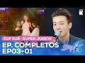 Espsub stage k episodio completo ep0301 super junior  stage k  vistak