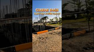 Chahar Bagh RUDA Main Gate Work 2026 | Rapid Development | Best Opportunity #shorts #ravicity
