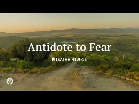 Antidote To Fear | Our Daily Bread | Daily Devotional