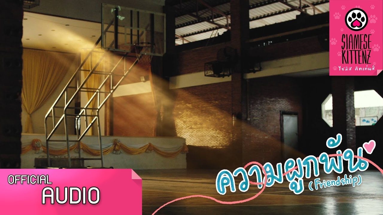 ความผูกพัน (Friendship) - Siamese Kittenz 【Official Audio】
