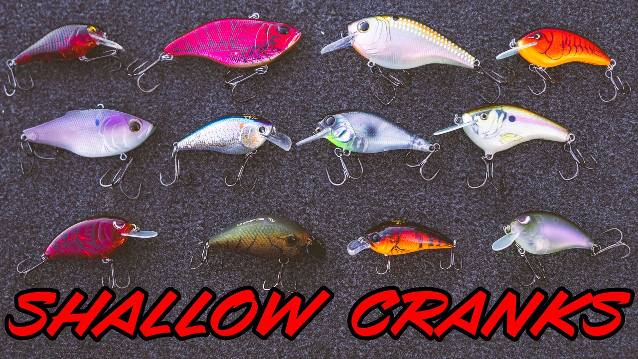 BUYER'S GUIDE: CRANKBAITS - SQUAREBILLS, LIPLESS CRANKS, AND