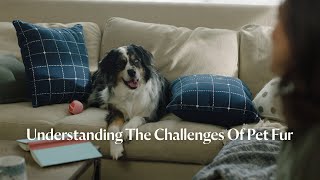 Understanding The Challenges Of Pet Fur | Pet Proven™ screenshot 4