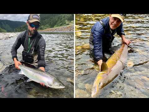 Matt Hayes | Gaula - The Ultimate Atlantic Salmon Fly Fishing River?
